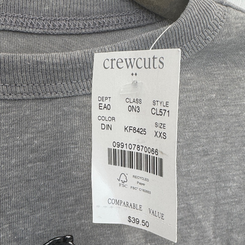 J. Crew Factory Gray Kids T-Shirt with Dinosaur City Print - Picture 2 of 4